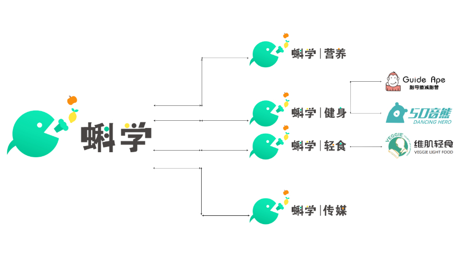 1蝌学的架构.jpg